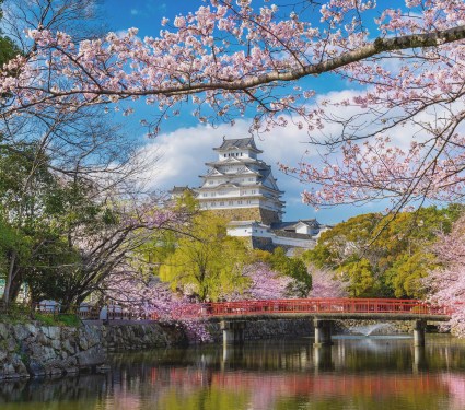 il castello di Osaka